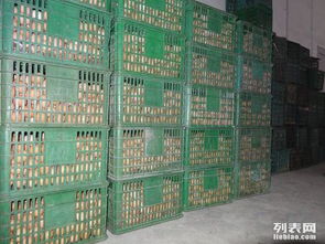 一萬立方雞蛋保鮮冷庫造價與建設(shè)工程施工詳解