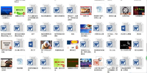 權(quán)健團(tuán)隊(duì)建設(shè)與教育培訓(xùn)資源全攻略