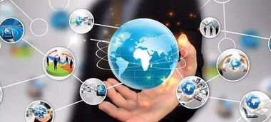 行業不斷刷新，寵物店家如何玩轉網絡文化經營之道